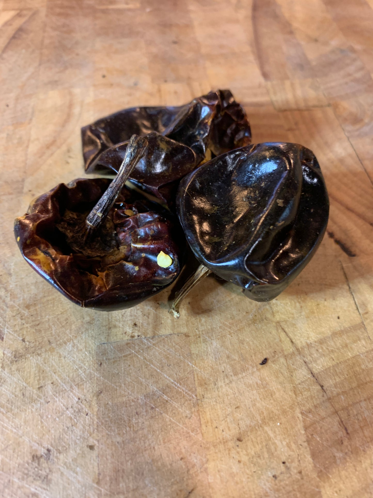 Chile Cascabel